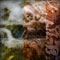 states of matter series